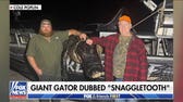 Massive 844-pound alligator caught after years-long hunt
