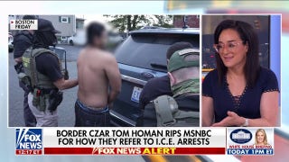 Homan goes after MSNBC host in fiery clash: This is the 'bottom line'