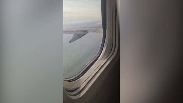 Un vídeo muestra cómo salen llamas de un avión de American Airlines tras un impacto con un pájaro