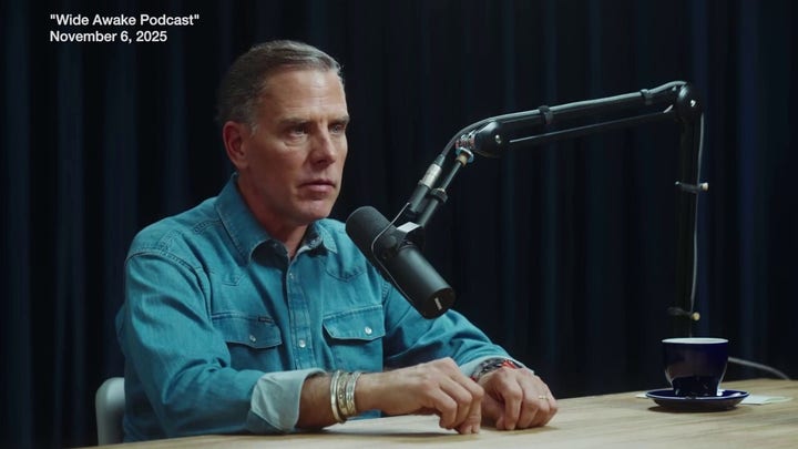 Hunter Biden urges Democrats to 'turn the temperature up' in podcast interview