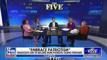  Dems are ‘trying to trick us’ by sounding like Republicans: Watters