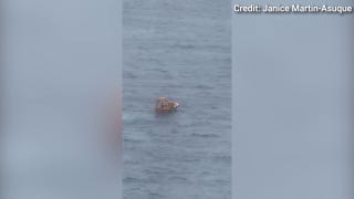 Dad and daughter reportedly rescued after they went overboard on cruise