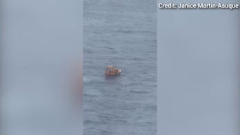 Dad and daughter reportedly rescued after they went overboard on cruise