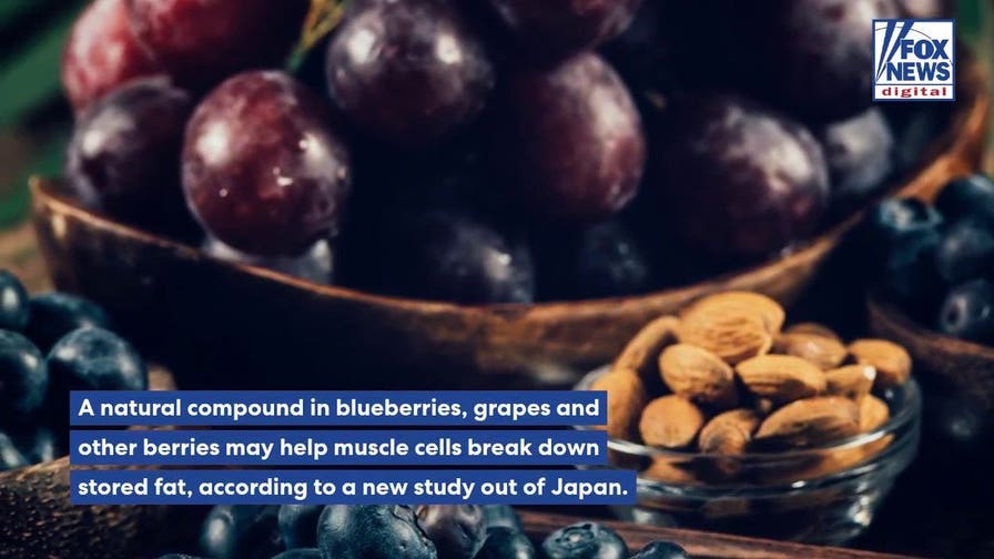 Compound found in blueberries and grapes may reduce abnormal fat buildup in muscle cells