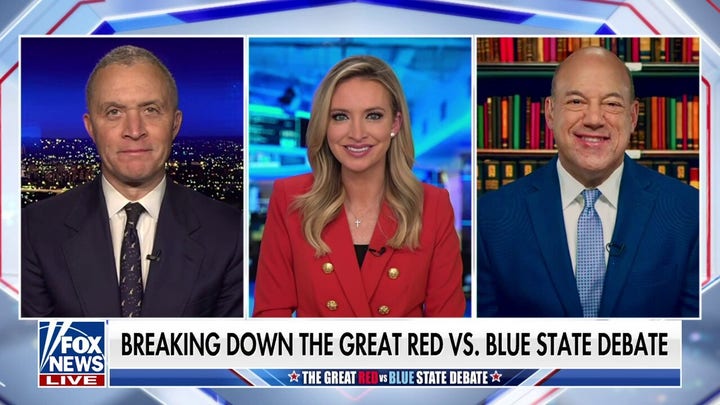 Newsom had a 'facts problem': Kayleigh McEnany