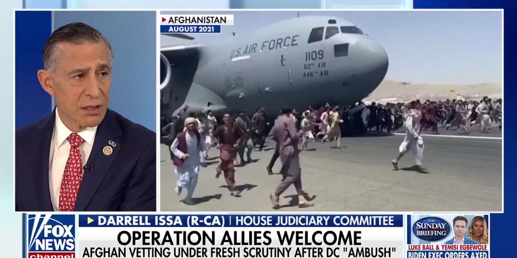 Rep. Issa slams Biden-era Afghan vetting after DC shooting: 'They aren't who they say they are'