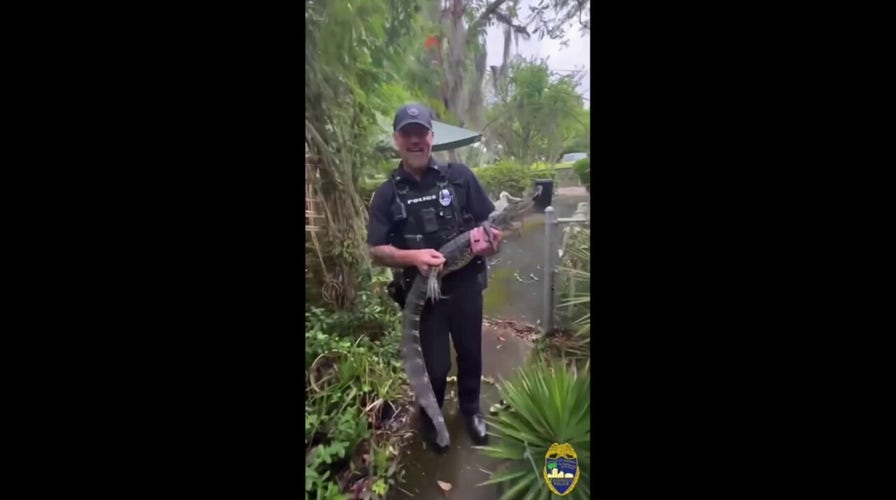 Florida officers capture alligator at 104-year-old resident's home