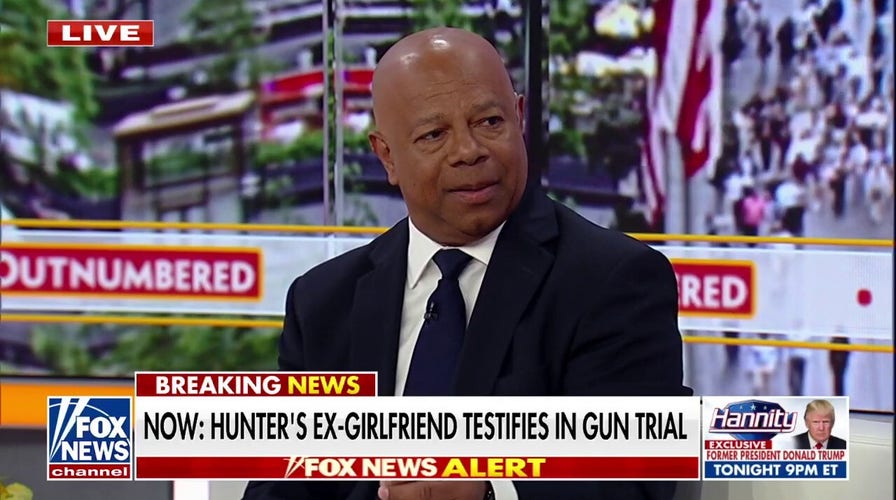 David Webb: The Bidens will find a way to 'whitewash' Hunter Biden's trial