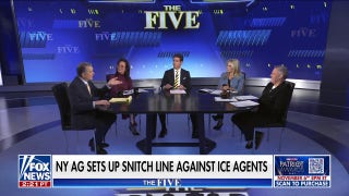 ICE officers have taken 'tremendous abuse,' says Paul Mauro