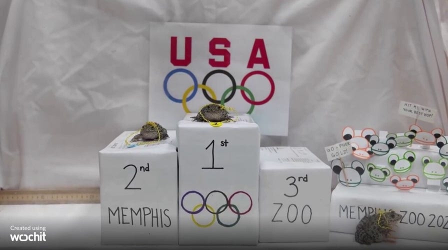Tennessee zoo hosts frog-jumping Olympic-style competition