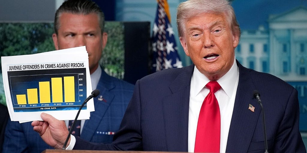 DC is the perfect example of Trump's crime results, congressman says