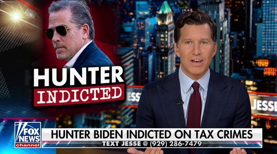 Will Cain: Hunter is the crack-smoking, hooker visiting 'do-gooder'