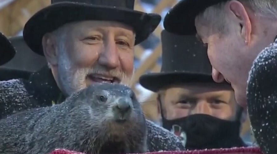 Punxsutawney Phil sees his shadow, predicts 6 more weeks of winter