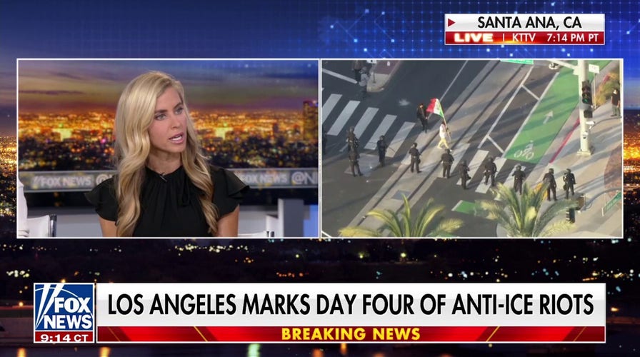 ‘Disturbing’: 'Fix California’ senior advisor slams Newsom’s resistance to Trump