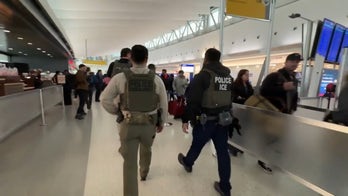 ICE agents begin patrolling US airports