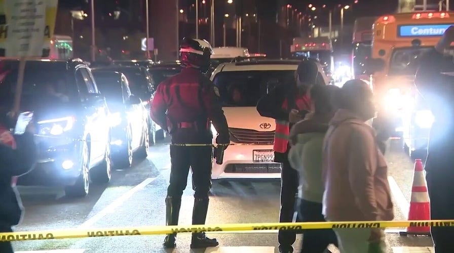 LAX successful  chaos arsenic  catering workers protestation  during highest  question   clip  earlier  holiday