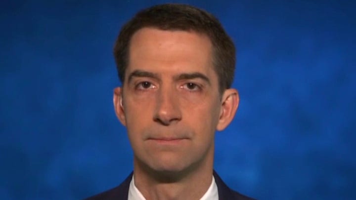 Sen. Tom Cotton: Biden owes Trump apology for Russia bounty story 