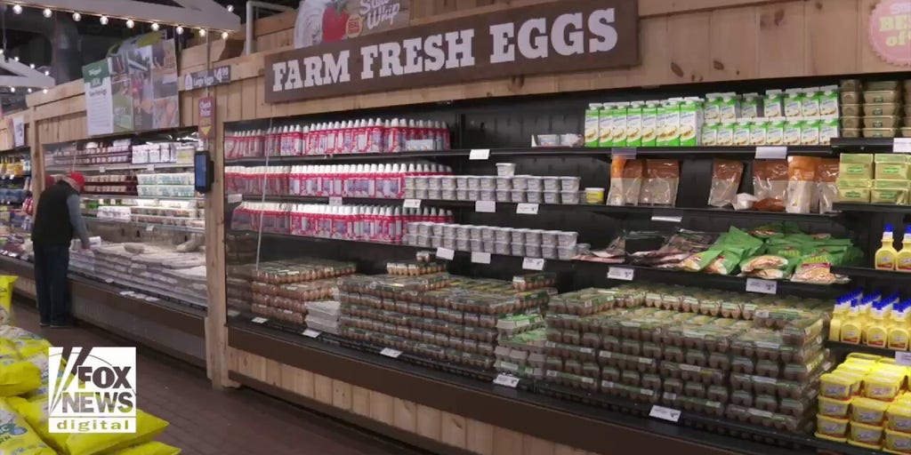 Farmers turn to AI to increase egg supplies