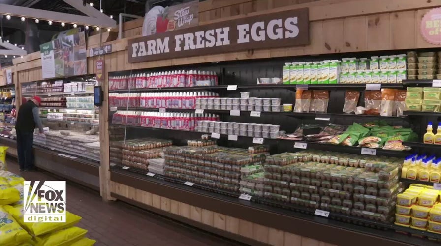 Farmers turn to AI to increase egg supplies 