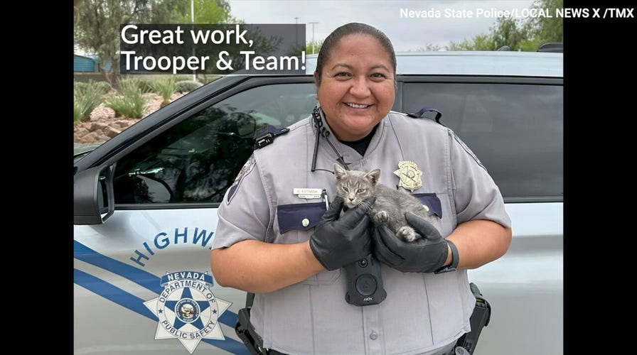 Nevada State Trooper rescues kitten trapped on highway — see the harrowing video! 