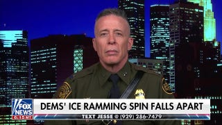 Border Patrol chief says ICE officers face ‘very precarious’ situations