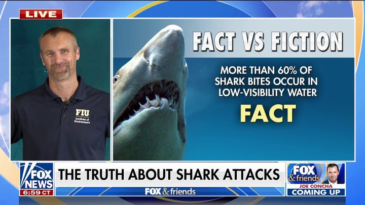 Marine ecologist on fact vs. fiction of shark attacks