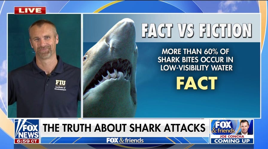 Marine ecologist on fact vs. fiction of shark attacks