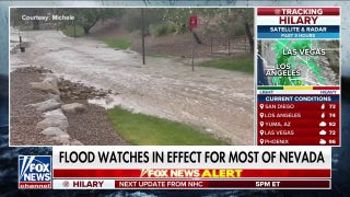 Nevada preparing for flash flooding risk, airlines halting some flights: David W. Fogerson - Fox News