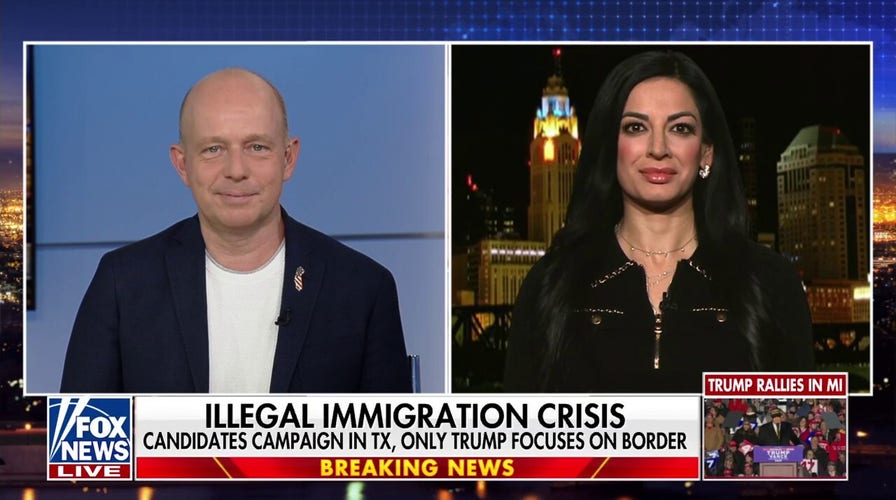 There's a 'cosmic irony' of Trump's political success, strategist says