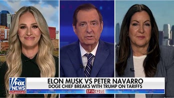 Tomi Lahren says coverage of Musk, DOGE shows media's happy with waste, fraud, abuse