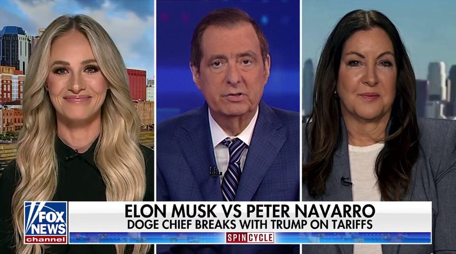 Tomi Lahren says coverage of Musk, DOGE shows media's happy with waste, fraud, abuse