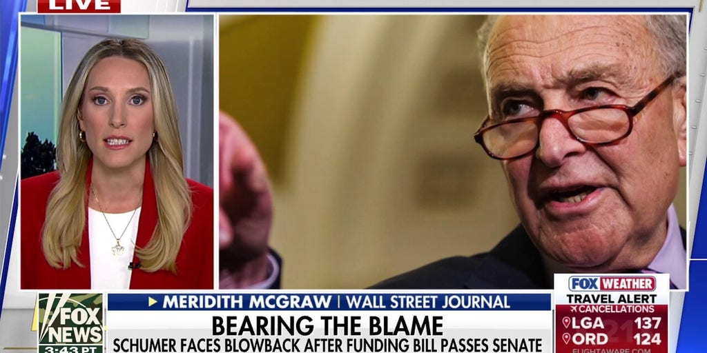 Chuck Schumer is in ‘hot water’ with his party, Meridith McGraw says