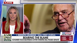 Chuck Schumer is in ‘hot water’ with his party, Meridith McGraw says