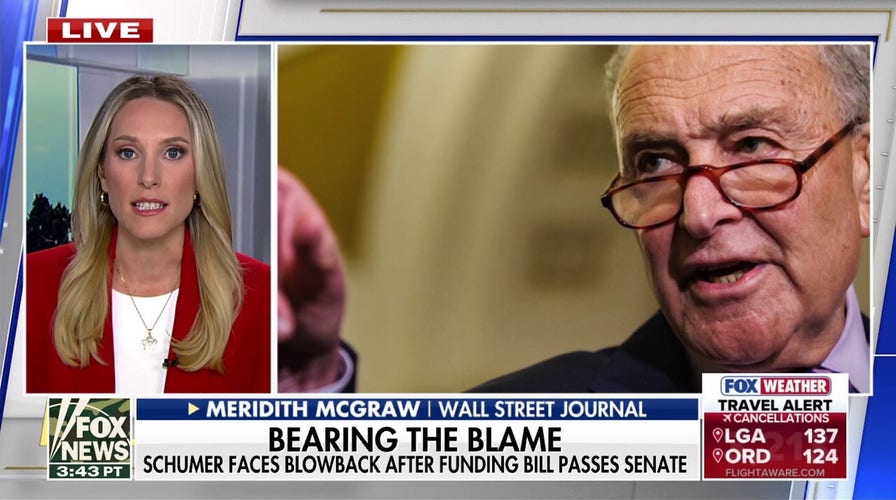 Chuck Schumer is successful  ‘hot water’ with his party, Meridith McGraw says