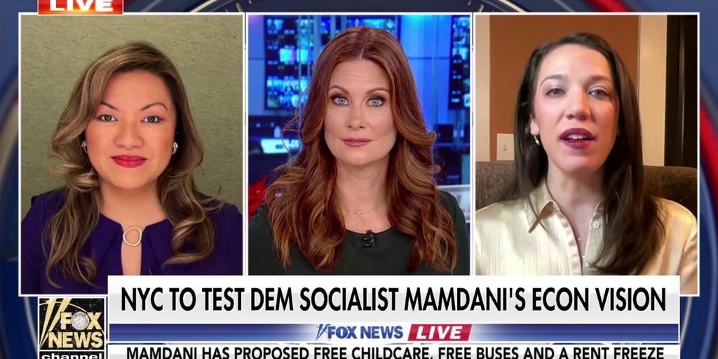 NYC is a financial capital, we cannot have Mamdani’s economic policies fail the city: Republican strategist