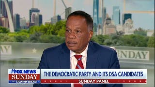Democratic Party grapples with controversial DSA candidates as midterms approach