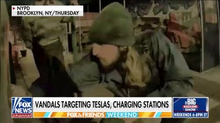 Protestors ready for ‘Tesla Takedown’ with a dance party in Washington DC - Fox News