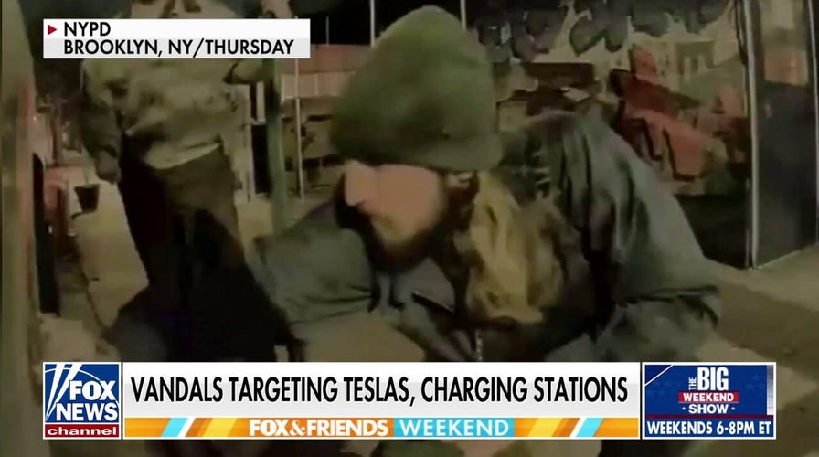 Protestors ready for ‘Tesla Takedown’ with a dance party in Washington DC