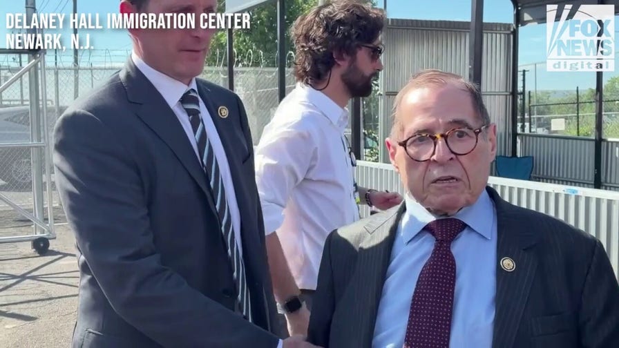 Nadler, Goldman emerge from illegal immigrant detention center