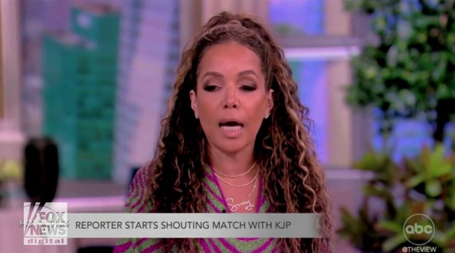'The View' hosts blast Today News Africa reporter after chaotic press briefing: 'A horrible person'
