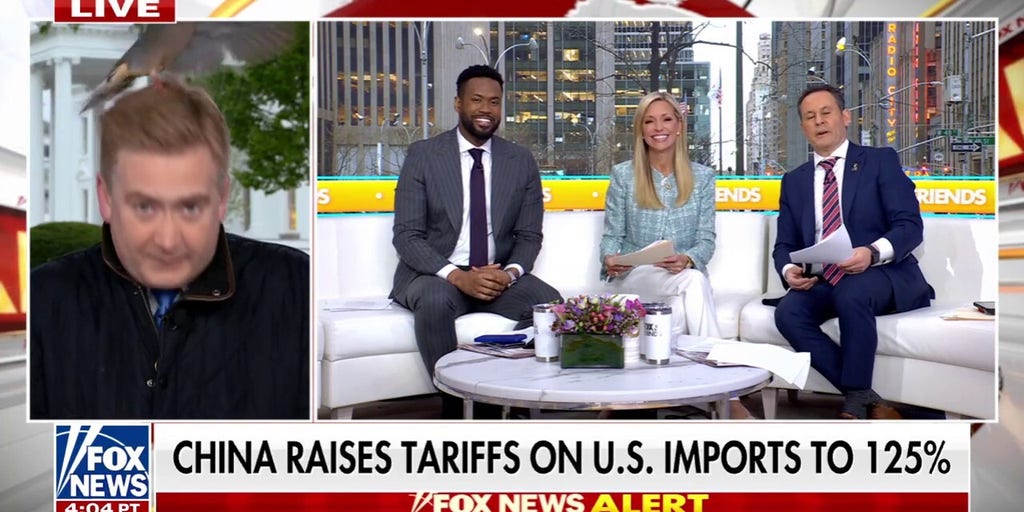 Bird crashes Peter Doocy's report on White House lawn