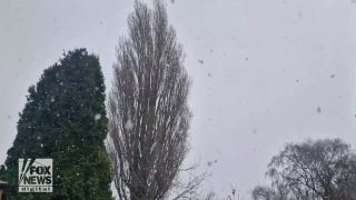  Serene robin enjoys the magical snowfall in England - Fox News