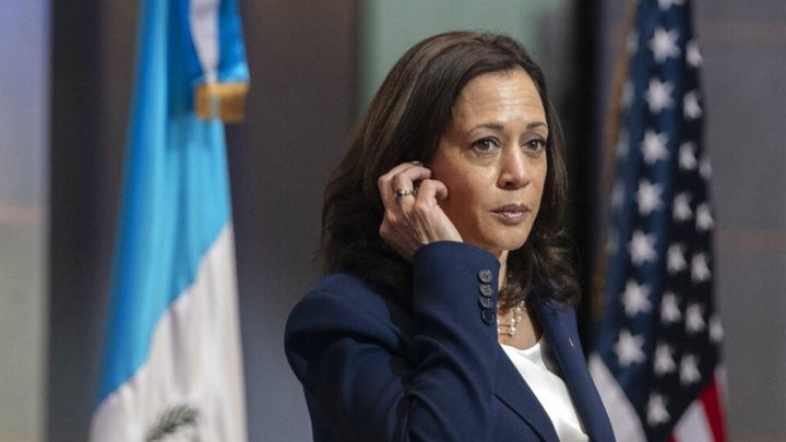Democrats concerned Kamala Harris can't beat GOP nominee in 2024: 报告