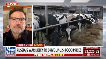 Russia-Ukraine war to drive up US food prices, farmer warns