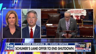 'That’s a non-starter’: GOP senator tears into Schumer's offer - Fox News