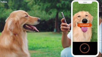 Facial recognition app can identify your pet’s face with 99% accuracy 