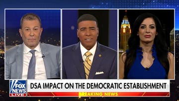 If Democrats are really interested in helping the working class, they would stop illegal immigration: Julian Epstein