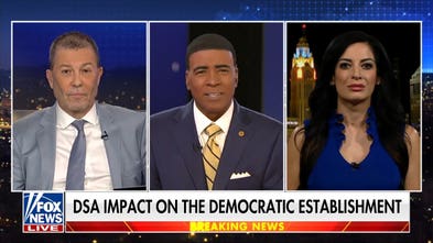 If Democrats are really interested in helping the working class, they would stop illegal immigration: Julian Epstein
