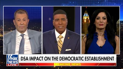 If Democrats are really interested in helping the working class, they would stop illegal immigration: Julian Epstein