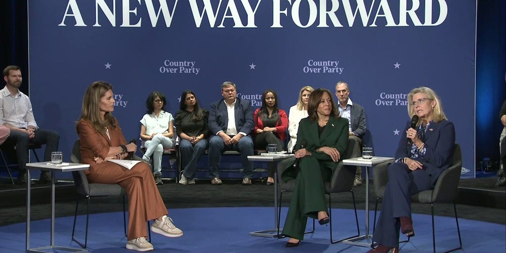 Liz Cheney predicts ‘millions of Republicans’ will vote for Harris: ‘Vote your conscience’
